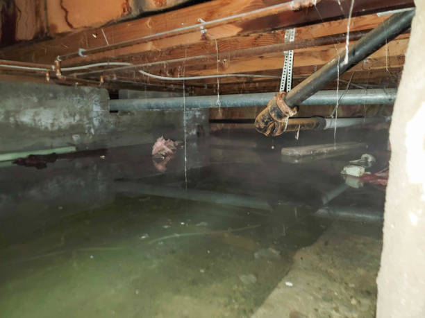 Best Residential water damage restoration  in Hometown, PA