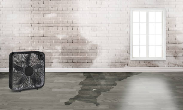 Best Water damage restoration cost  in Hometown, PA