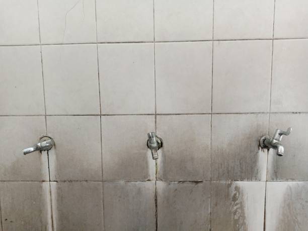 Best Local water damage restoration  in Hometown, PA
