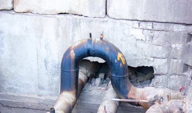Best Water damage cleanup near me  in Hometown, PA