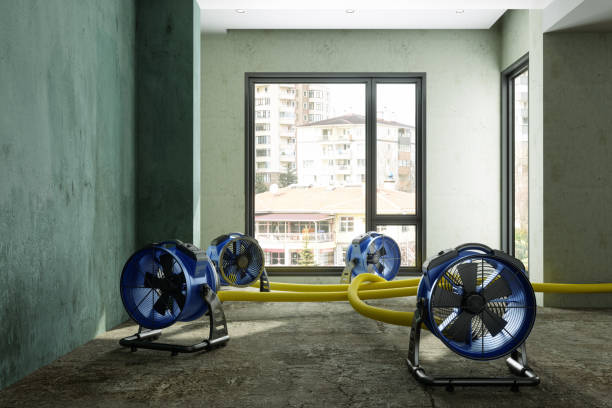 Best Water damage restoration near me  in Hometown, PA