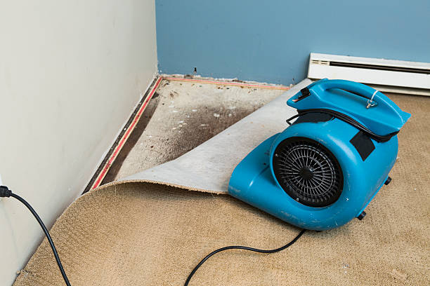 Best Commercial water damage restoration  in Hometown, PA
